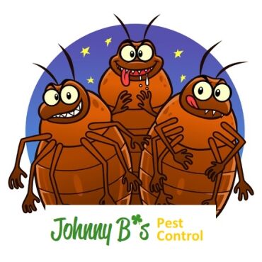 bedbugcartoonjb