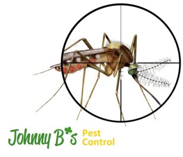 sniperskitojb Boston Pests