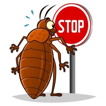 39342007 – stop pest illustration with a funny cartoon bedbug
